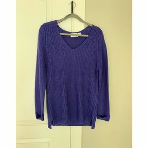 Blue V-Neck Knit Sweater